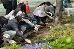 조성사진