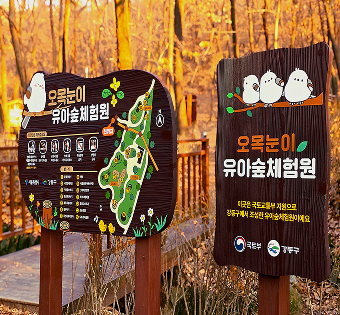 강동구 일자산 오목눈이 유아숲체험원