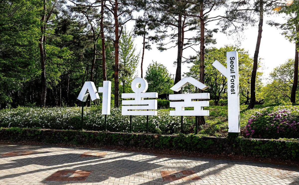 서울숲 이미지