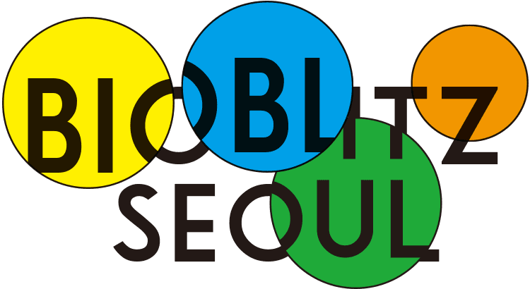 바이오블리츠 서울