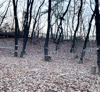 강북구 오동 유아숲체험원