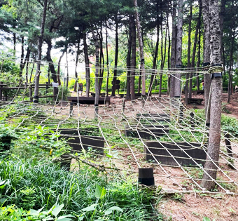 강북구 오패산 유아숲체험원