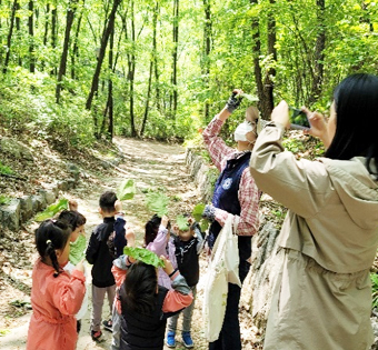 노원구 수락산 유아숲체험원
