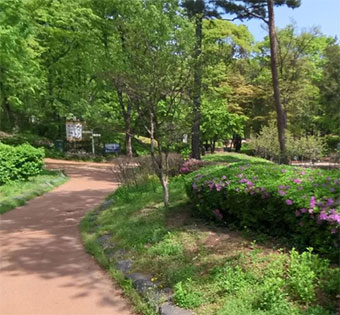 용산구 효창 유아숲체험원