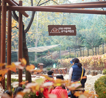 양천구 신정산 계남 유아숲체험원