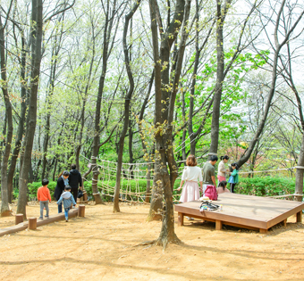 양천구 응왕산 유아숲체험원