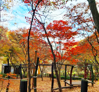 구로구 개웅산 유아숲체험원