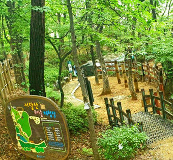 동작구 현충공원 유아숲체험원