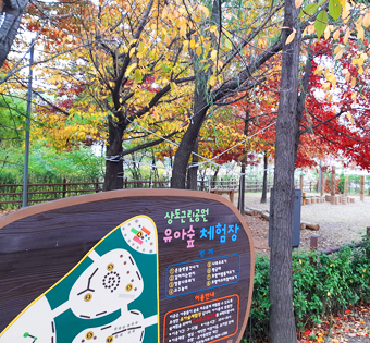동작구 상도공원 유아숲체험원