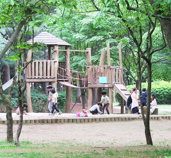 서초구 문화예술공원 유아숲체험원