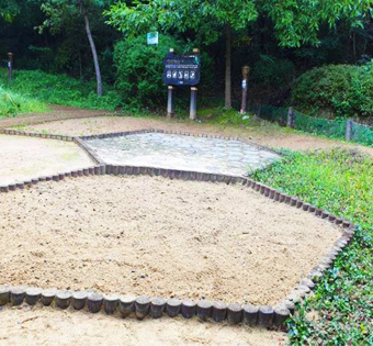 강남구 해찬솔 유아숲체험원