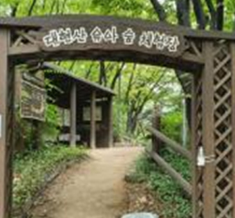 성동구 대현산 유아숲체험원