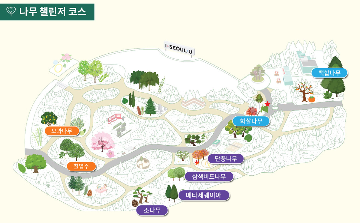나무 챌린저 코스
