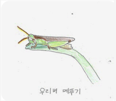 김도연 작품