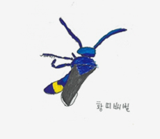 박규태 작품