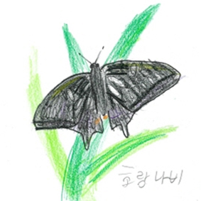 호랑나비