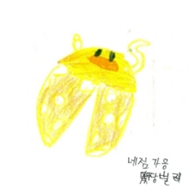 네점가슴무당벌레