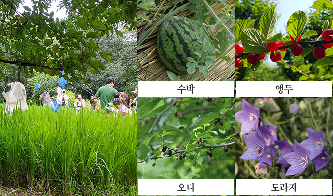 농촌체험학습장
