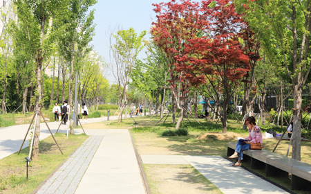 와우교 구간