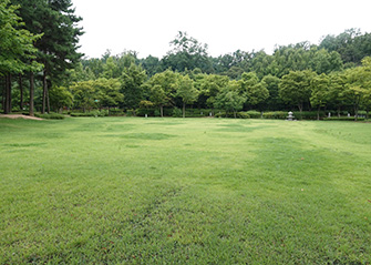 숲길1 