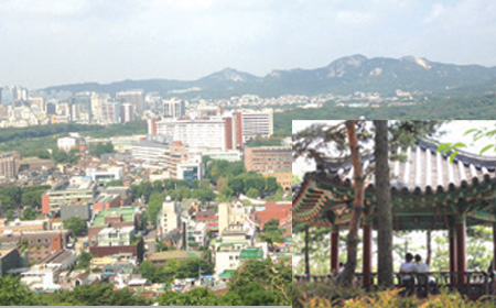 낙산정 