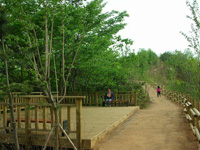 산책로 사진