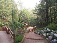 산책로 사진1