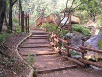 산책로 사진2
