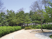 정상부 사진1