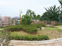 전경사진