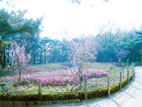 전경사진1