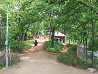 전경사진2