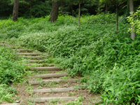 불광근린공원 전경사진2