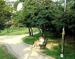 산책로