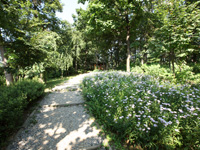 산책로 사진